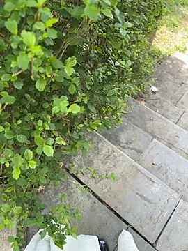 kara-tt's Webcam Show