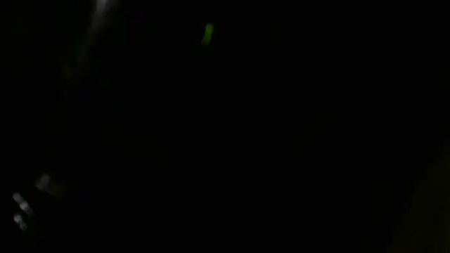 Show Webcam de crassanova