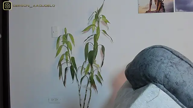 Gersonzt ওয়েবক্যাম শো