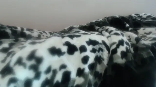 Czat XXX na żywo – Nellybba