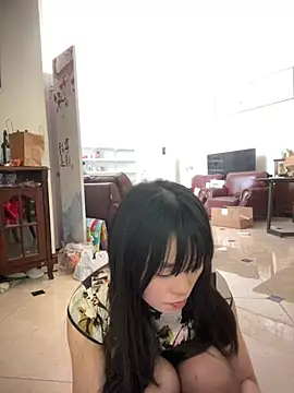 petoys 网络视讯表演