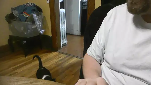 TheOneDonShaun webkamerás műsora