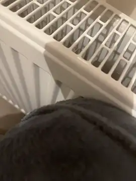 Webkamerová show Diggaoder