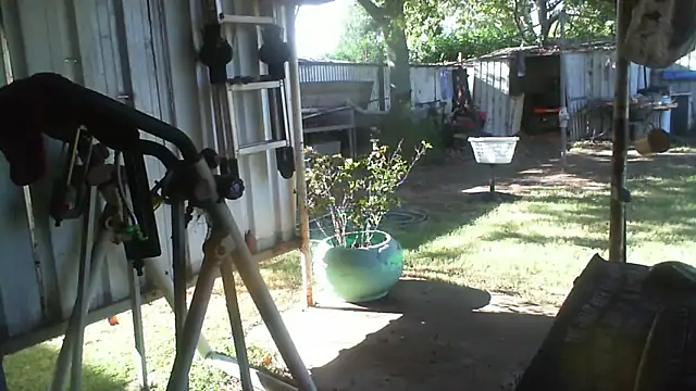 herbie010666's Webcam Show