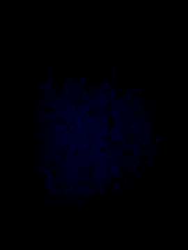 boiipussy702 webkamerás műsora