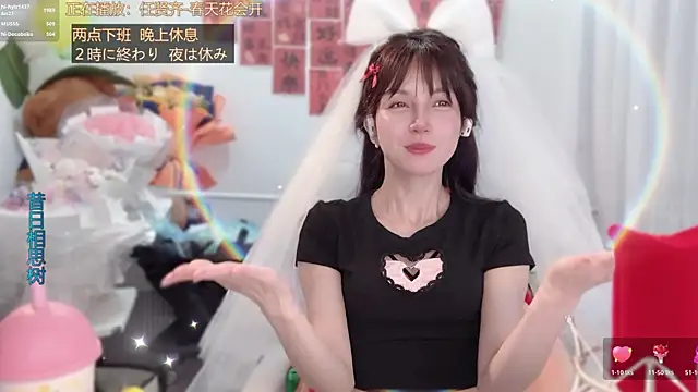 hi-AnAnn Webbikameraesitys