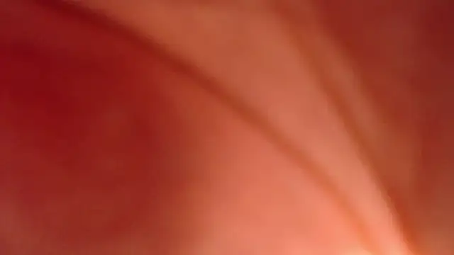 CherryBlossom___n Live XXX chat