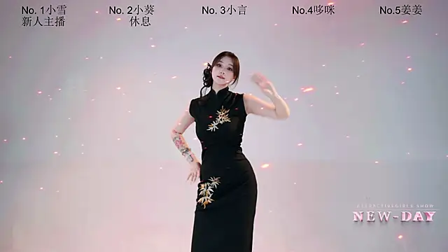 NEW-DAY002 网络视讯表演