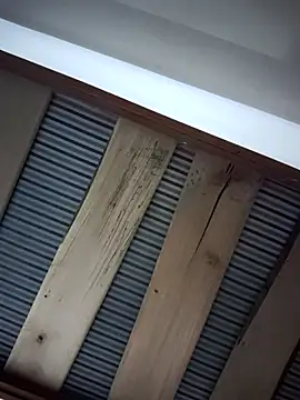 Pertunjukan Kamera Web Antonny_grace