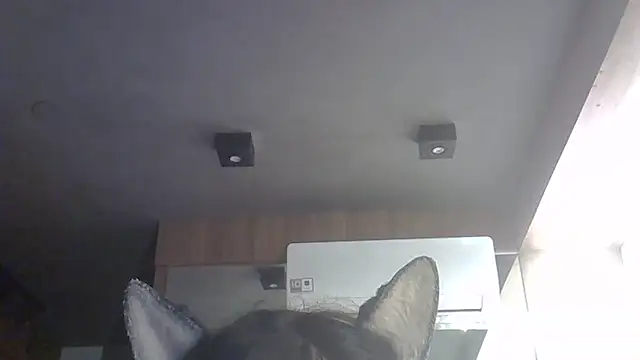 Show de SkinnyKitten na webcam