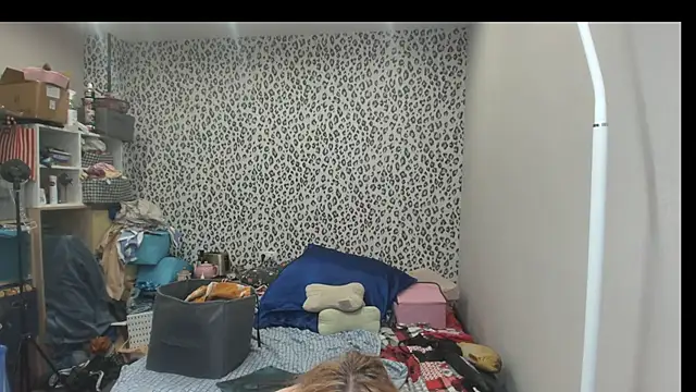 عرض كام switchlorenx