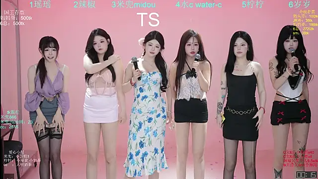 ATY-1315 Show Webcam