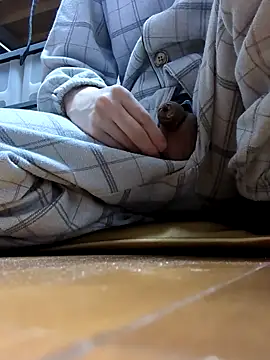 mgnhiroyukin Webbikameraesitys