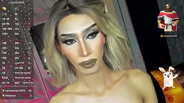 anitacruise Show Webcam