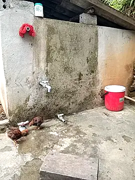 kalara_kail Chat XXX in diretta