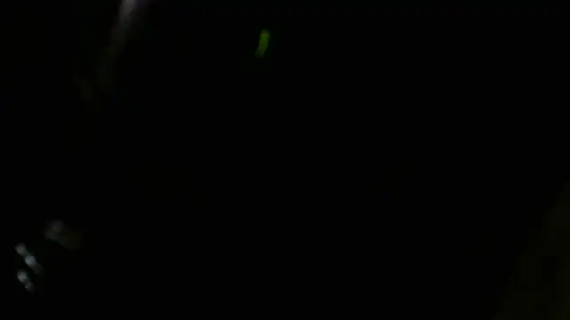 Show webcam de crassanova