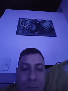 Show webcam de Skynnyn