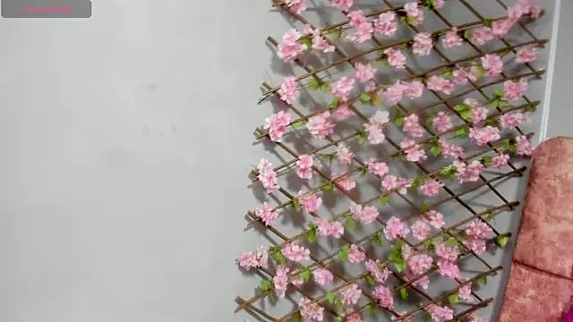 Chat +18 de cloyks ao vivo