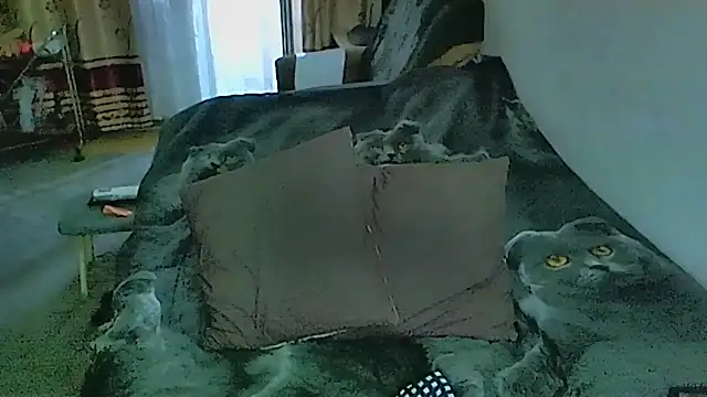 Chat XXX en directo de sex2