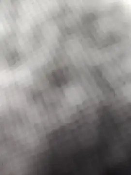 Show webcam de X-boy-11