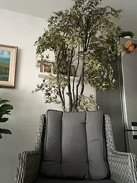 Michel_huge Webcam Show