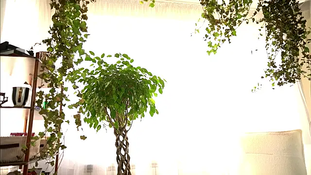 Czat XXX na żywo – TheMaddisonShow_