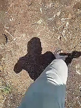 Show webcam de Desi_boy_fuck