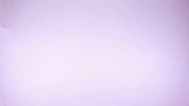 Webkamerová show Iam_OttoAndrew