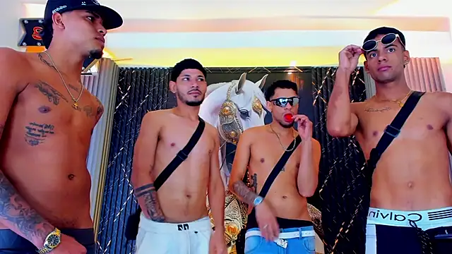 عرض كام the_knights_of_the_night_