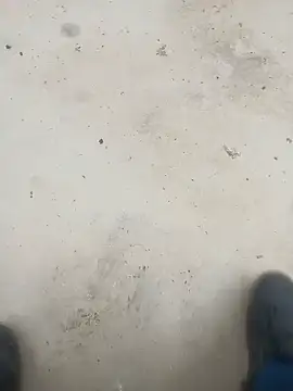 عرض كام Stallionbull37