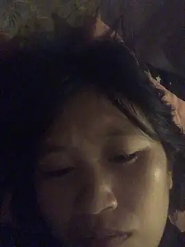 han-camx 网络视讯表演