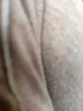 Hgay6935 现场XXX聊天