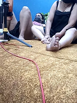 Show Webcam de Sangitalive