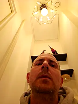 عرض كام dufatcock