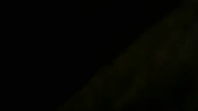 crassanova élő XXX-chatje