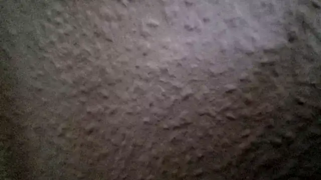 عرض كام Foxtrott_242