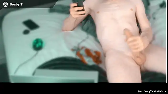 boabyTparTyn Webbikameraesitys