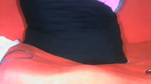 Show webcam de TransCya2024