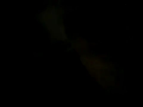 cabecaoegreluda Pertunjukan Webcam