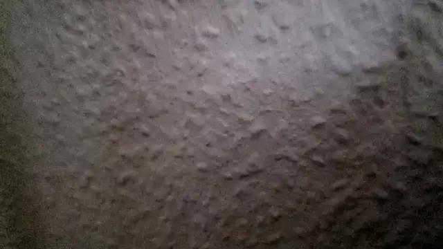 Вебкам-шоу Foxtrott_242