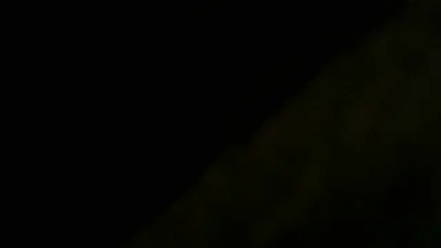 Show webcam de crassanova