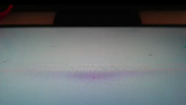 Živý XXX chat Skull_Panda