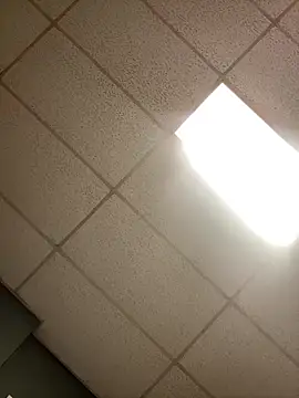 Show webcam de lexuslover687