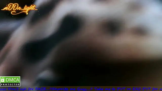 دردشة _mOOn_light_ الجنسية المباشرة