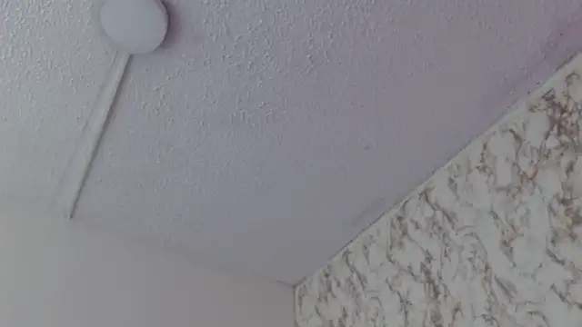 AlexaFontana Live XXX-Chat