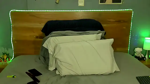 Prometeo-grizzly Webcam show