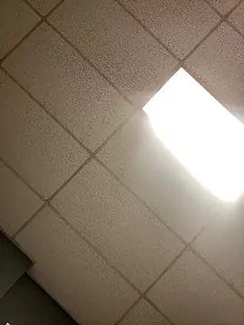 Show Webcam de lexuslover687