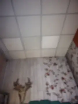 PippyPamXXX's Webcam Show