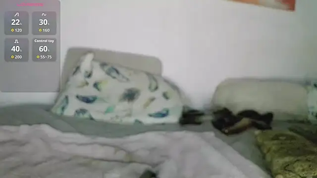 canarito18n Webbikameraesitys