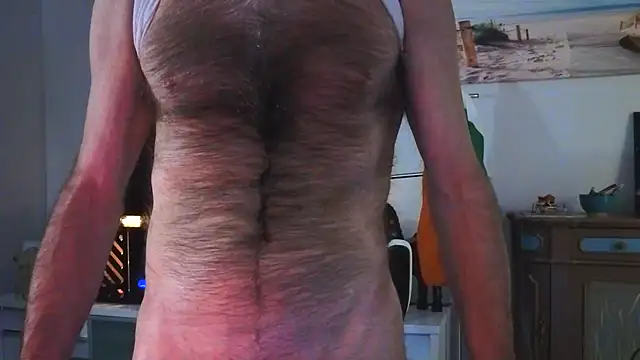 Show Webcam de Towndude123